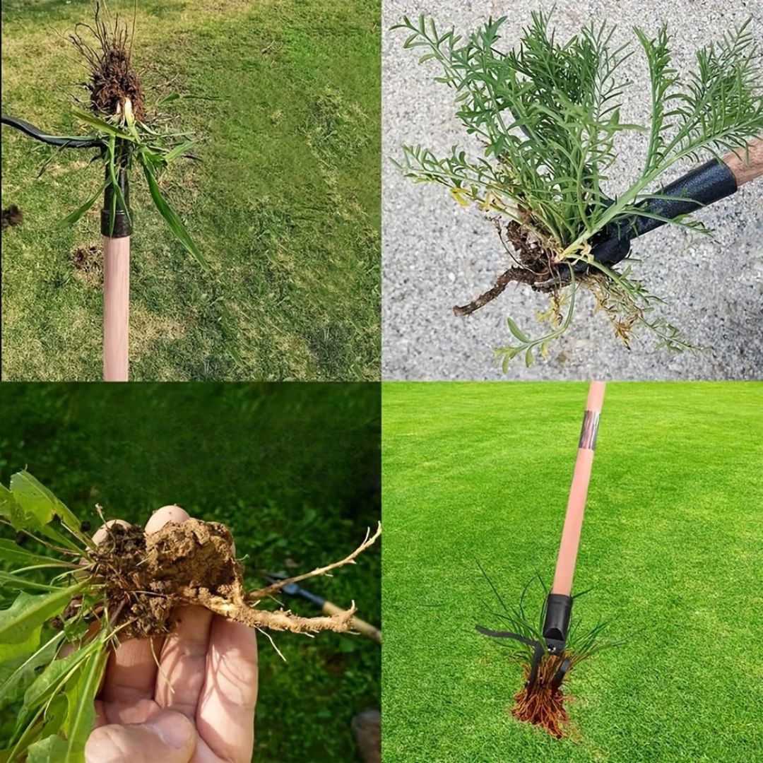 GardenClean™ - Removedor Inteligente de Ervas Daninhas