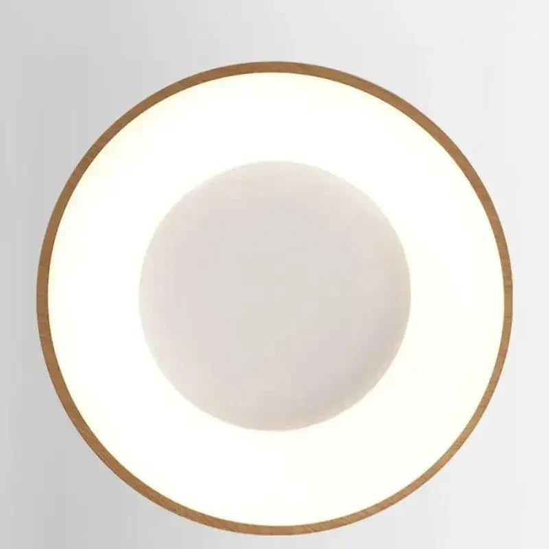 Luminária de Teto Sofisticada 220V com Controle de Ajuste de Intensidade