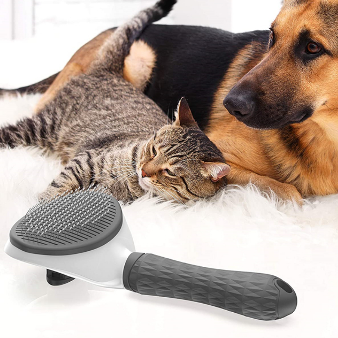 Escova Autolimpante Pet - Rasqueadeira