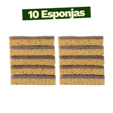 Kit Raiz Eco - 10 esponjas biodegradáveis