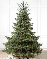 Árvore de Natal European Fir com Galhos Articulados, Suporte Metálico e Micro LEDs Embutidos