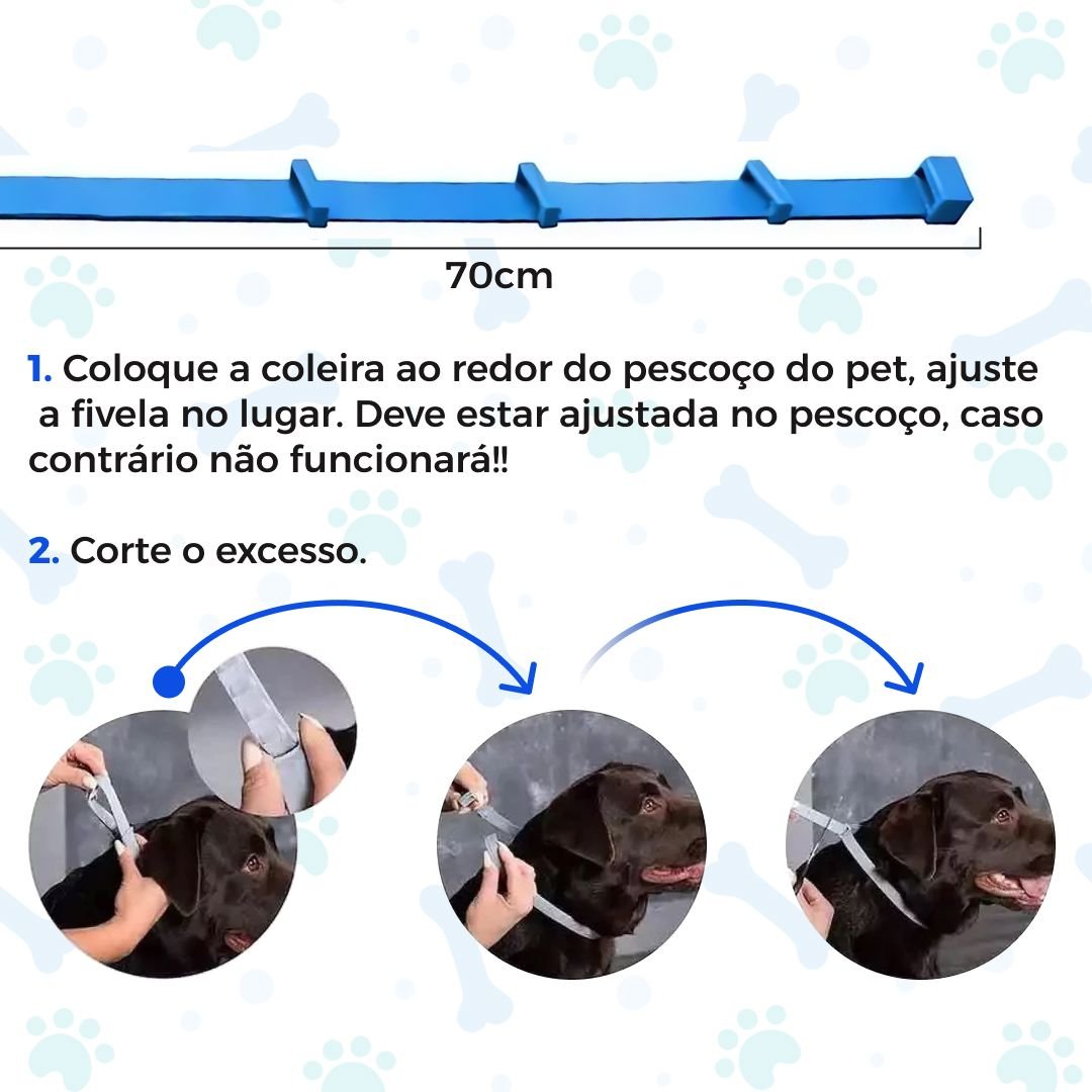 Colar Anti Pulgas e Carrapatos