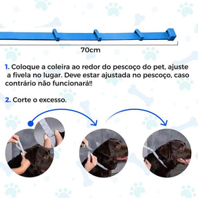 Colar Anti Pulgas e Carrapatos