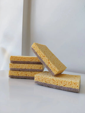 Kit Raiz Eco - 10 esponjas biodegradáveis