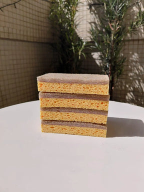 Kit Raiz Eco - 10 esponjas biodegradáveis