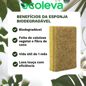 Kit Raiz Eco - 10 esponjas biodegradáveis