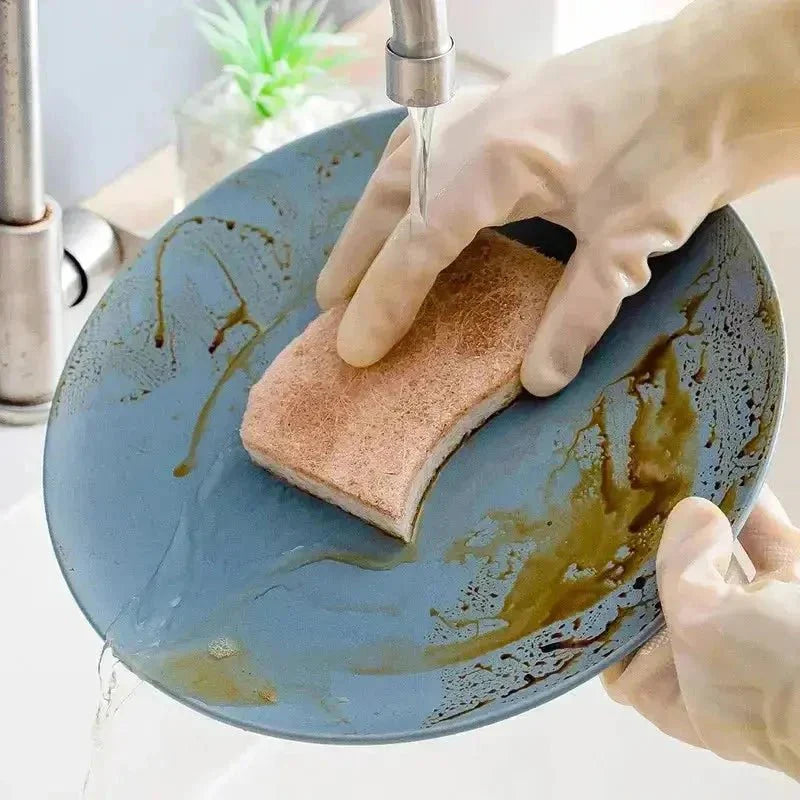 Kit 18 Esponjas de Cozinha Biodegradáveis Premium (duram até 18 meses)