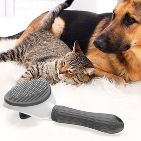 Escova Autolimpante Pet - Rasqueadeira